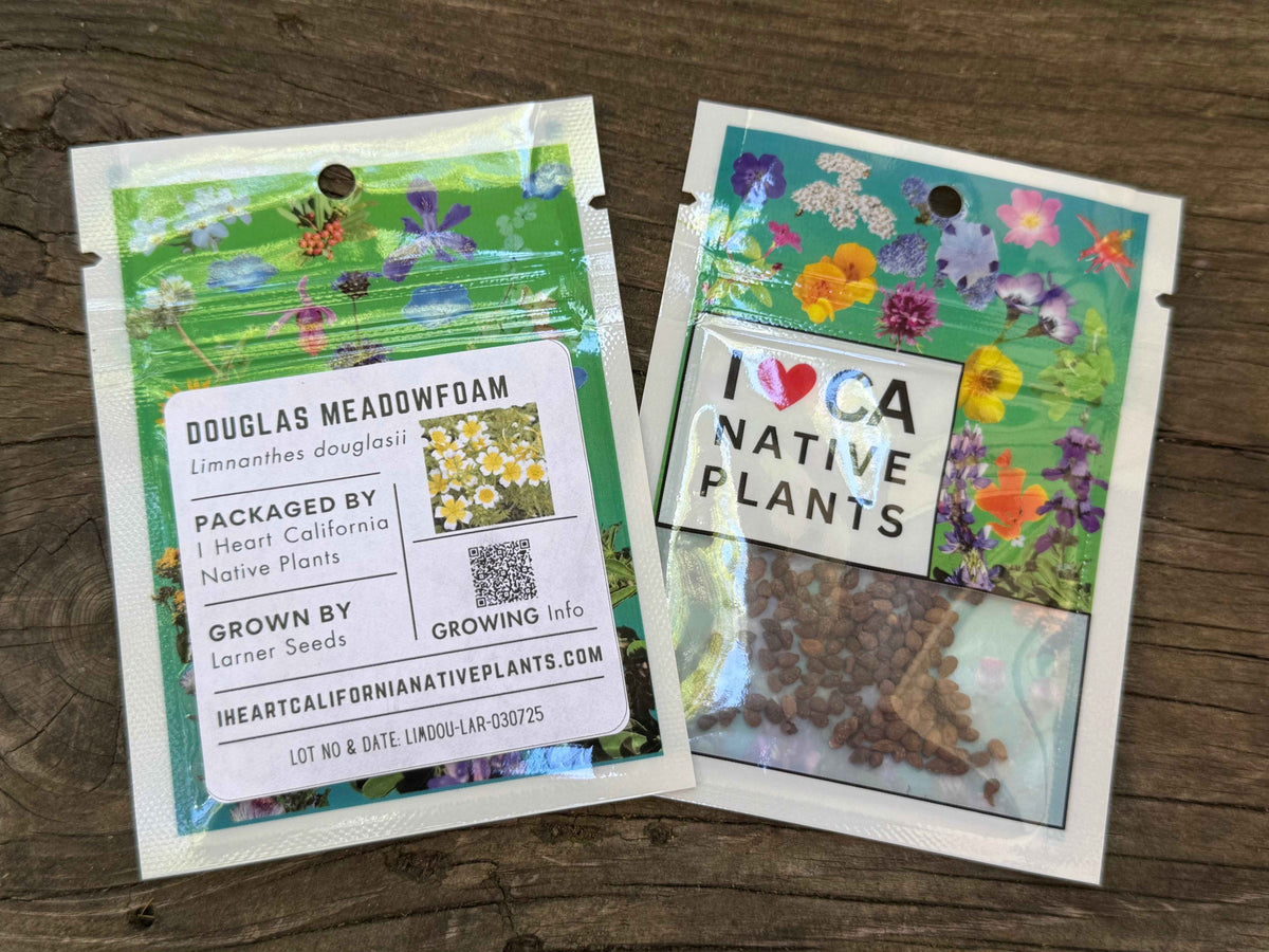 Limnanthes douglasii - Douglas Meadowfoam seed packets