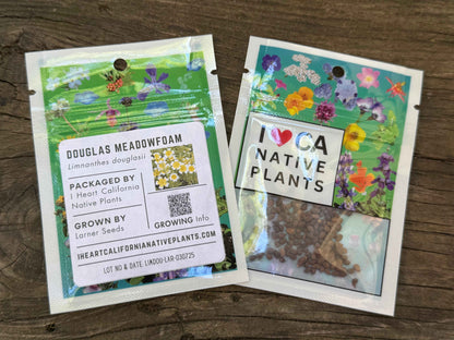 Limnanthes douglasii - Douglas Meadowfoam seed packets