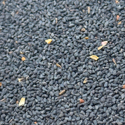 Penstemon eatonii - Firecracker Penstemon