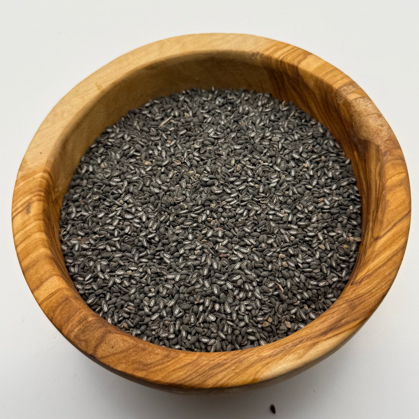 Plantago erecta - California Plantain