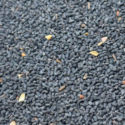 Penstemon spectabilis - Showy penstamon seed closeup