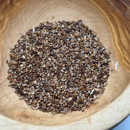 Salvia apiana - White Sage