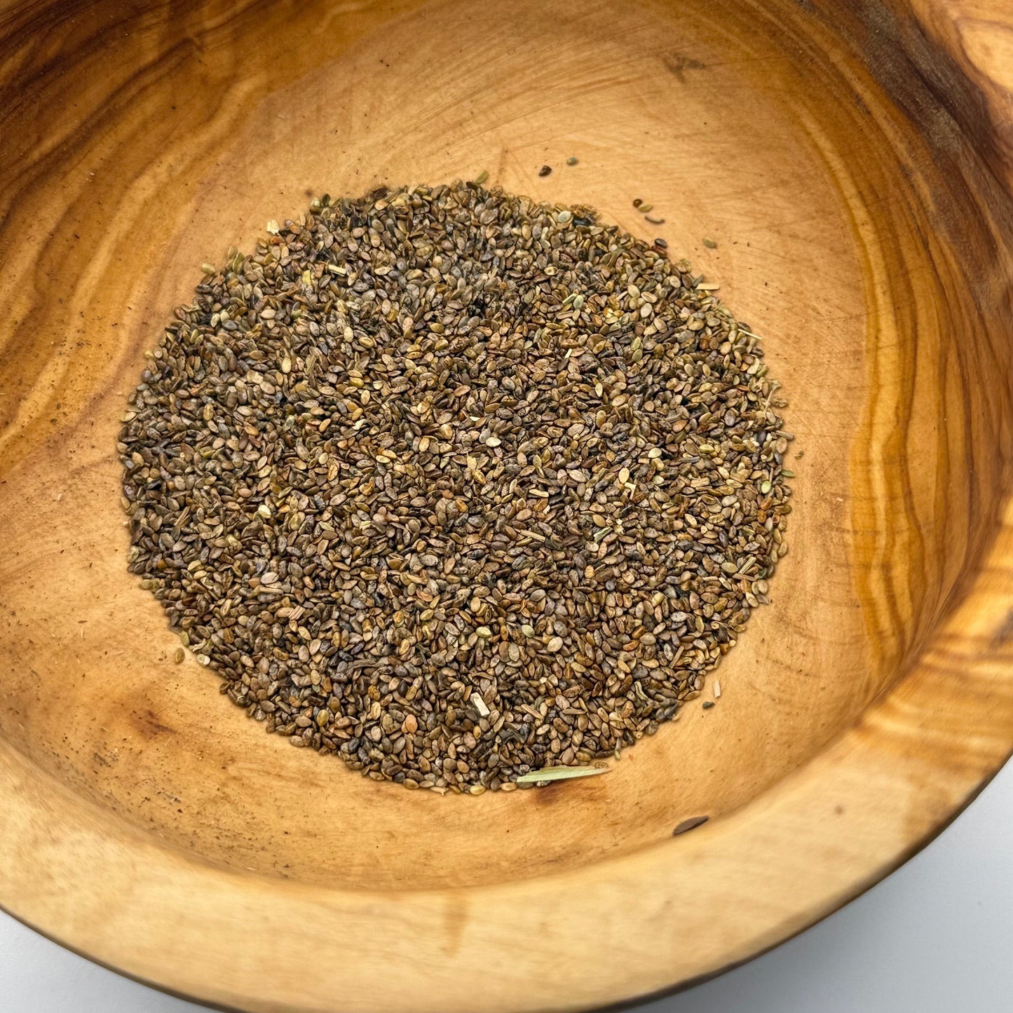 Salvia columbariae - Chia Sage