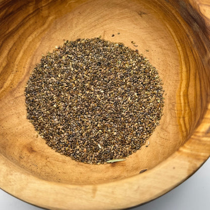 Salvia columbariae - Chia Sage