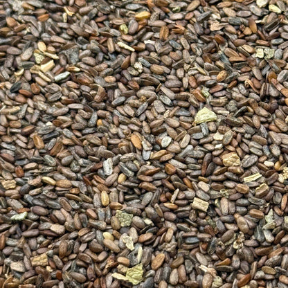 Salvia mellifera - Black Sage