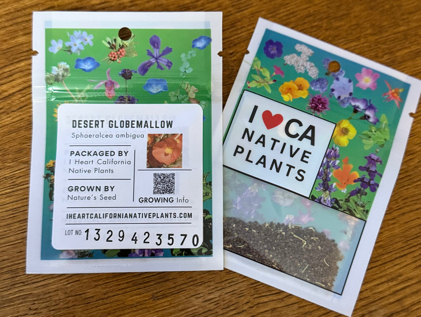 Desert Globemallow (Sphaeralcea ambigua)