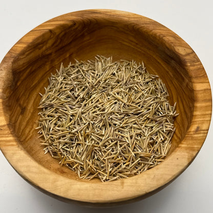 Stipa pulchra - Purple Needlegrass