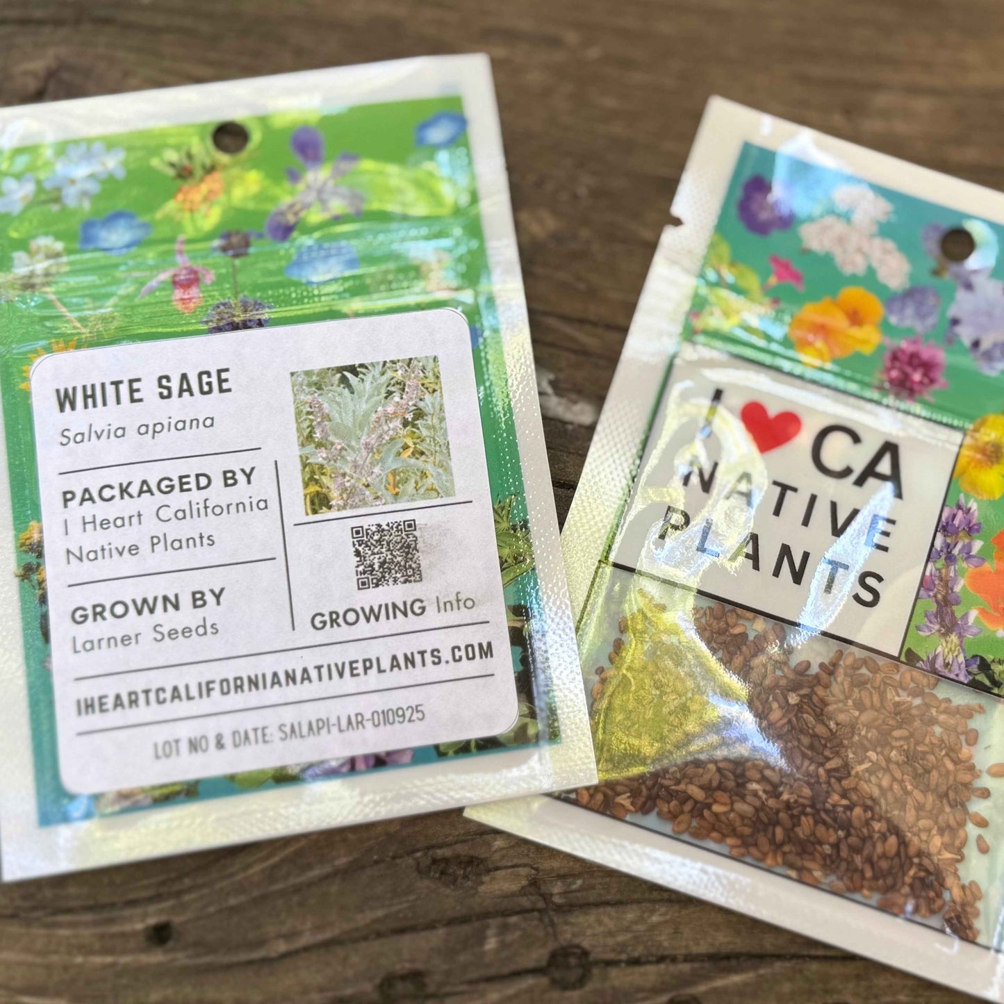 Salvia apiana - White Sage