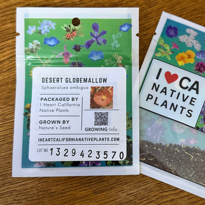 Sphaeralcea ambigua - Desert Globemallow seed packets