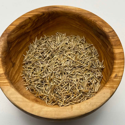 Stipa pulchra - Purple Needlegrass