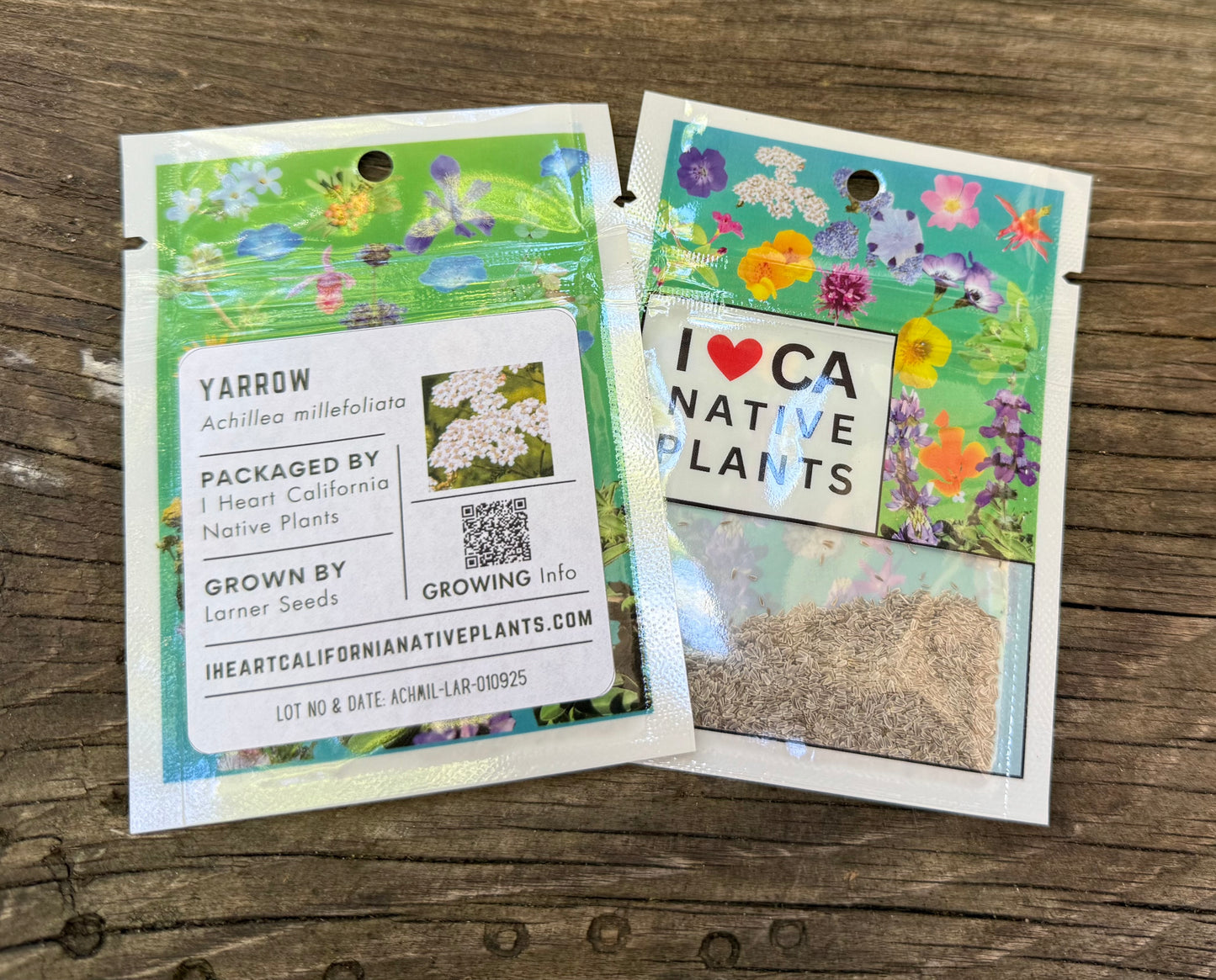 Yarrow (Achillea millefolium)