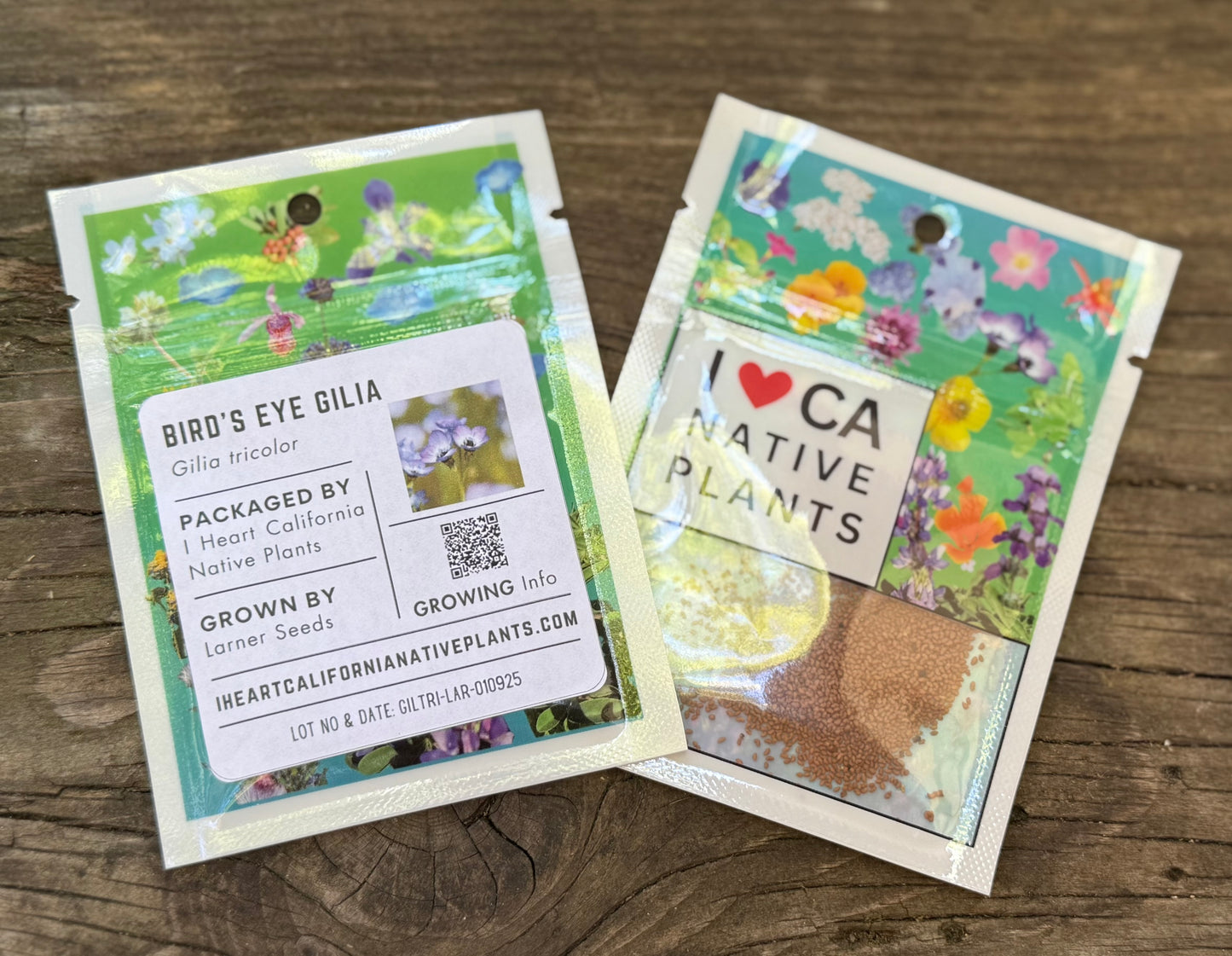 Bird's Eye Gilia (Gilia tricolor)