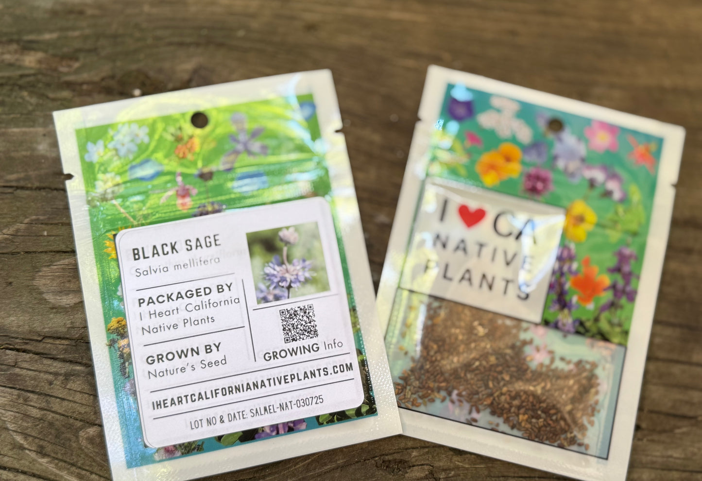 Black Sage (Salvia mellifera)