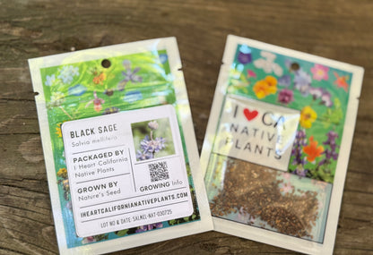 Black Sage (Salvia mellifera)