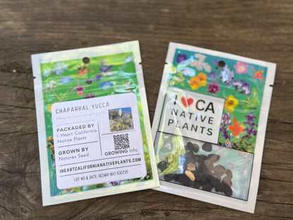 Chaparral Yucca (Hesperoyucca whipplei)