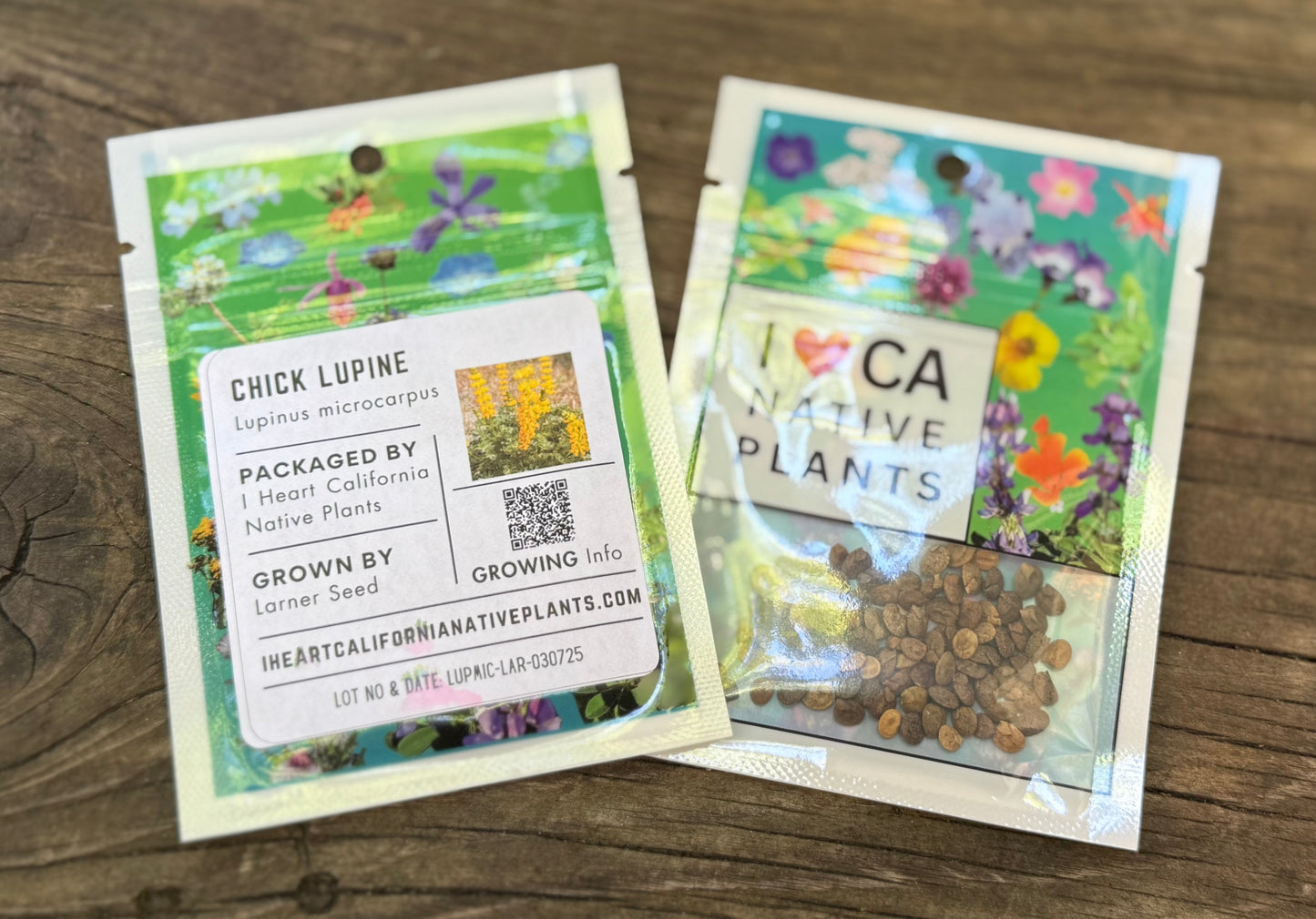 Chick Lupine (Lupinus microcarpus)