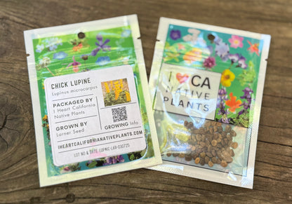 Chick Lupine (Lupinus microcarpus)