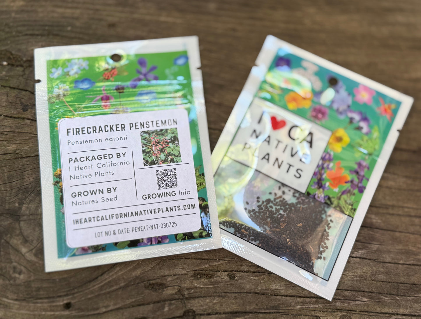 Firecracker Penstemon (Penstemon eatonii)