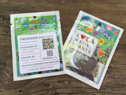 Firecracker Penstemon (Penstemon eatonii)