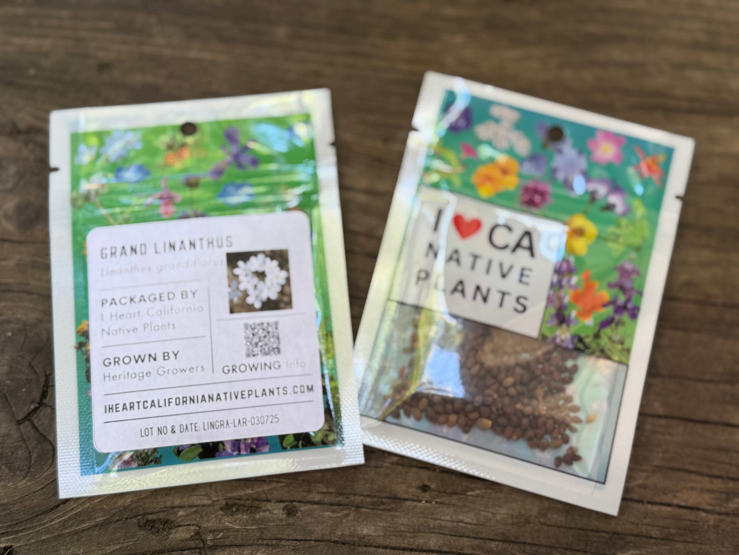 Grand Linanthus (Linanthus grandiflorus)