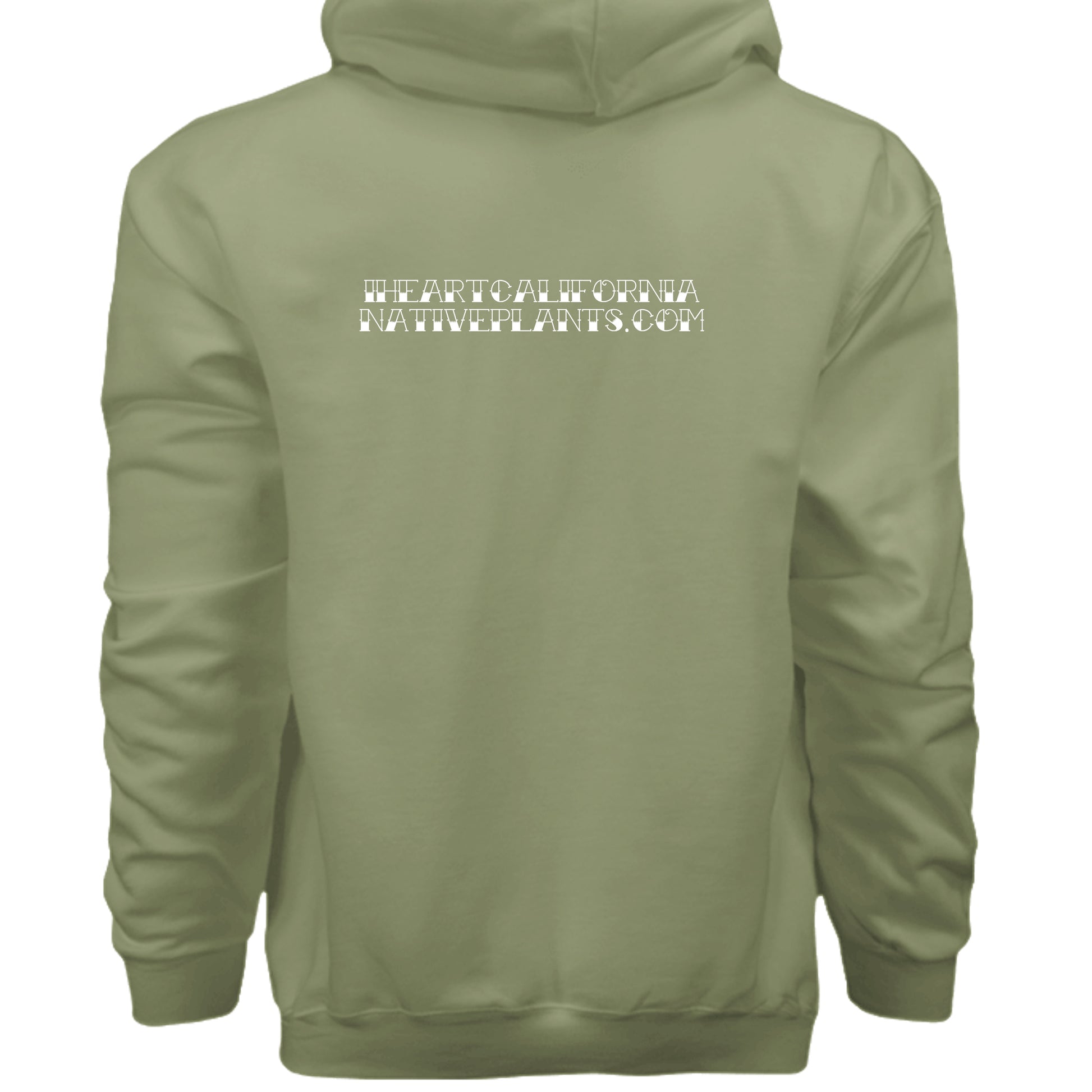Oregano - F170 - BACK