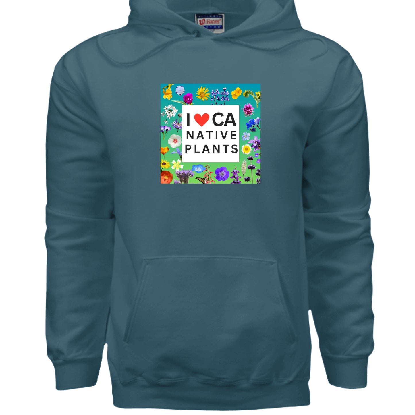 Cactus - F170 - FRONT