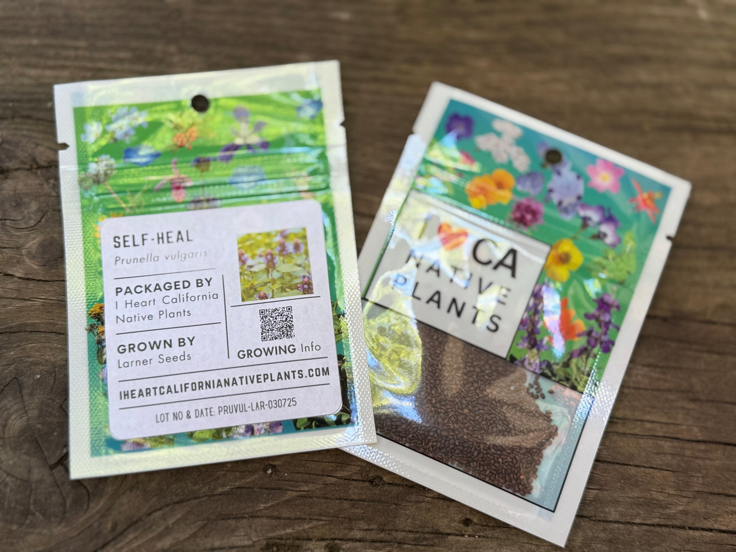 Self-Heal (Prunella vulgaris)