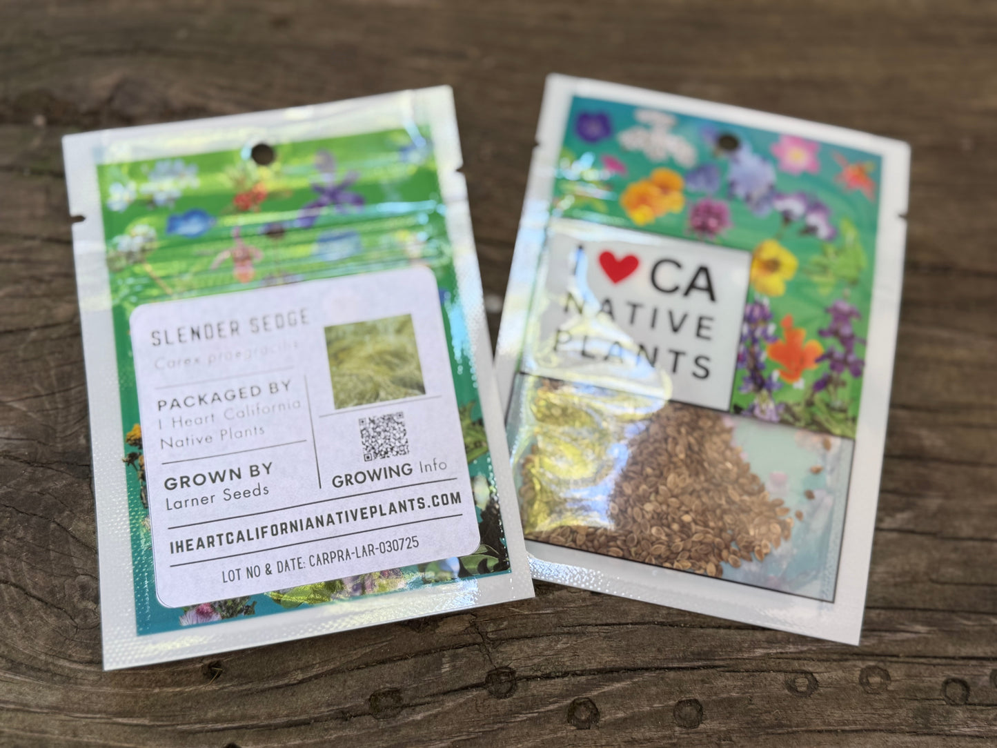 Slender Sedge (Carex praegracilis)