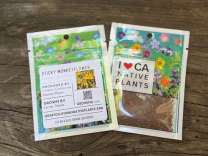 Sticky monkeyflower (Diplacus aurantiacus)