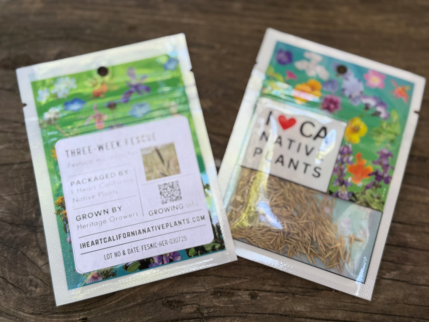 Three-week Fescue (Festuca microstachys)