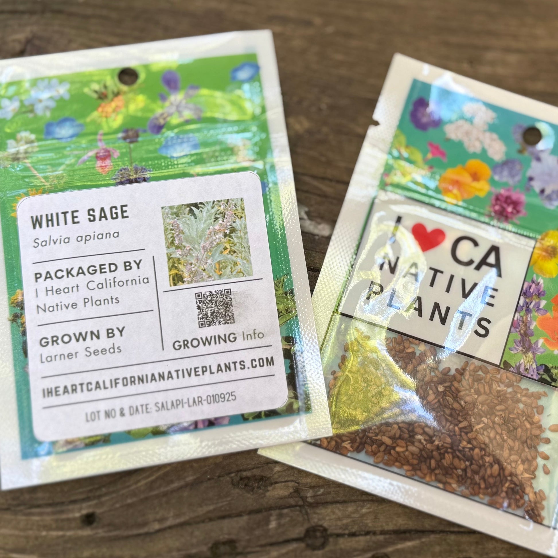 white sage plant seeds Salvia apiana